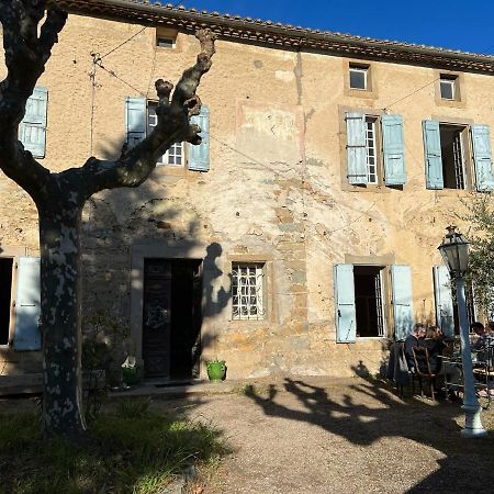 Les 3 Platanes Bed & Breakfast Conilhac-Corbières Екстериор снимка